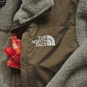 The North Face XS Denali Jacket